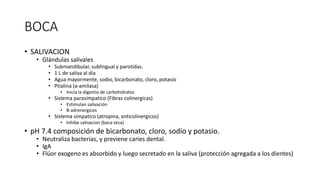 BOCA
• SALIVACION
• Glándulas salivales
• Submandibular, sublingual y parotidas.
• 1 L de saliva al día
• Agua mayormente, sodio, bicarbonato, cloro, potasio
• Ptialina (a-amilasa)
• Inicia la digestio de carbohidratos
• Sistema parasimpatico (Fibras colinergicas)
• Estimulan salivación
• B-adrenergicos
• Sistema simpatico (atropina, anticolinergicos)
• Inhibe salivacion (boca seca)
• pH 7.4 composición de bicarbonato, cloro, sodio y potasio.
• Neutraliza bacterias, y previene caries dental.
• IgA
• Flúor exogeno es absorbido y luego secretado en la saliva (protección agregada a los dientes)
 
