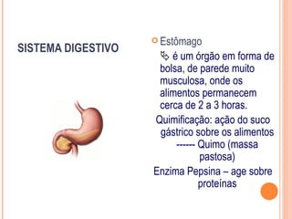  Estômago
SISTEMA DIGESTIVO
                      é um órgão em forma de
                     bolsa, de parede muito
                     musculosa, onde os
                     alimentos permanecem
                     cerca de 2 a 3 horas.
                    Quimificação: ação do suco
                     gástrico sobre os alimentos
                         ------ Quimo (massa
                                pastosa)
                    Enzima Pepsina – age sobre
                                proteínas
 