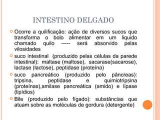 INTESTINO DELGADO
 Ocorre a quilificação: ação de diversos sucos que
  transforma o bolo alimentar em um liquido
  chamado quilo ----- será absorvido pelas
  vilosidades
 suco intestinal (produzido pelas células da parede
  intestinal): maltase (maltose), sacarase(sacarose),
  lactase (lactose), peptidase (proteína)
 suco     pancreático (produzido pelo pâncreas):
  tripsina,      peptidase       e        quimiotripsina
  (proteínas),amilase pancreática (amido) e lipase
  (lipídios)
 Bile (produzido pelo fígado): substâncias que
  atuam sobre as moléculas de gordura (detergente)
 