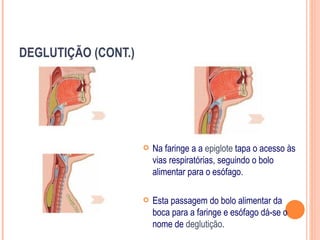 DEGLUTIÇÃO (CONT.)




                        Na faringe a a epiglote tapa o acesso às
                         vias respiratórias, seguindo o bolo
                         alimentar para o esófago.

                        Esta passagem do bolo alimentar da
                         boca para a faringe e esófago dá-se o
                         nome de deglutição.
 