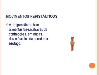 MOVIMENTOS PERISTÁLTICOS
 A progressão do bolo
 alimentar faz-se através de
 contracções, em ondas,
 dos músculos da parede do
 esófago.
 