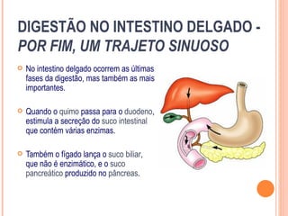 DIGESTÃO NO INTESTINO DELGADO -
POR FIM, UM TRAJETO SINUOSO
   No intestino delgado ocorrem as últimas
    fases da digestão, mas também as mais
    importantes.

   Quando o quimo passa para o duodeno,
    estimula a secreção do suco intestinal
    que contém várias enzimas.

   Também o fígado lança o suco biliar,
    que não é enzimático, e o suco
    pancreático produzido no pâncreas.
 