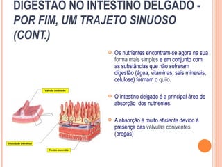 DIGESTÃO NO INTESTINO DELGADO -
POR FIM, UM TRAJETO SINUOSO
(CONT.)
                  Os nutrientes encontram-se agora na sua
                   forma mais simples e em conjunto com
                   as substâncias que não sofreram
                   digestão (água, vitaminas, sais minerais,
                   celulose) formam o quilo.

                  O intestino delgado é a principal área de
                   absorção dos nutrientes.

                  A absorção é muito eficiente devido à
                   presença das válvulas coniventes
                   (pregas)
 