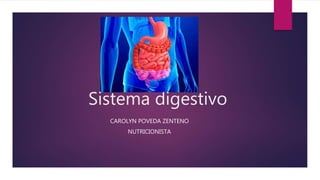 Sistema digestivo
CAROLYN POVEDA ZENTENO
NUTRICIONISTA
 