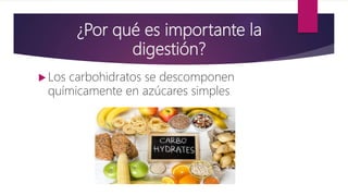 ¿Por qué es importante la
digestión?
 Los carbohidratos se descomponen
químicamente en azúcares simples
 
