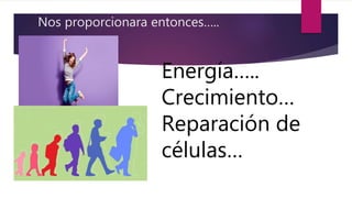 Nos proporcionara entonces…..
Energía…..
Crecimiento…
Reparación de
células…
 