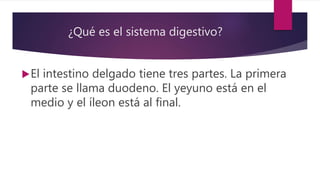 ¿Qué es el sistema digestivo?
El intestino delgado tiene tres partes. La primera
parte se llama duodeno. El yeyuno está en el
medio y el íleon está al final.
 