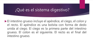 ¿Qué es el sistema digestivo?
 El intestino grueso incluye el apéndice, el ciego, el colon y
el recto. El apéndice es una bolsita con forma de dedo
unida al ciego. El ciego es la primera parte del intestino
grueso. El colon es el siguiente. El recto es el final del
intestino grueso.
 