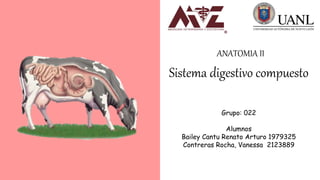 Sistema digestivo compuesto
ANATOMIA II
Grupo: 022
Alumnos
Bailey Cantu Renato Arturo 1979325
Contreras Rocha, Vanessa 2123889
 