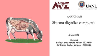 Sistema digestivo compuesto
ANATOMIA II
Grupo: 022
Alumnos
Bailey Cantu Renato Arturo 1979325
Contreras Rocha, Vanessa 212...