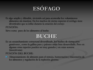 ESÓFAGO
Es algo amplio y dilatable, sirviendo así para acomodar los voluminosos
alimentos sin masticar. En los machos de ciertas especies el esófago tiene
divertículos que se inflas durante la estación del cortejo
FUNCIÓN:
Sirve como paso de los alimentos al buche
BUCHE
Es un ensanchamiento estructural diversificado, los buches de ciertas aves
granívoros , como la gallina pato y palomo están bien desarrollado. Pero en
algunas otras especies pueden ser muy grandes y en otras ausente
(insectívoras)
FUNCIÓN DEL BUCHE:
 Almacenamiento de alimento para el remojo, humectación y maceración de
los alimentos y regulación de la repleción gástrica
 