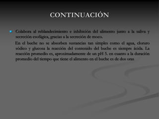 CONTINUACIÓN
 Colabora al reblandecimiento e inhibición del alimento junto a la saliva y
secreción esofágica, gracias a la secreción de moco.
En el buche no se absorben sustancias tan simples como el agua, cloruro
sódico y glucosa la reacción del contenido del buche es siempre ácida. La
reacción promedio es, aproximadamente de un pH 5. en cuanto a la duración
promedio del tiempo que tiene el alimento en el buche es de dos oras
 
