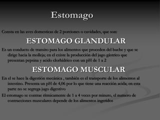 Estomago
Consta en las aves domesticas de 2 porciones o cavidades, que son:
ESTOMAGO GLANDULAR
Es un conducto de transito para los alimentos que proceden del buche y que se
dirige hacia la molleja; en el existe la producción del jugo gástrico que
presentan pepsina y acido clorhídrico con un pH de 1 a 2
ESTOMAGO MUSCULAR
En el se hace la digestión mecánica , también es el transporte de los alimentos al
intestino. Presenta un pH de 4,06 por lo que tiene una reacción acida; en esta
parte no se segrega jugo digestivo
El estomago se contrae rítmicamente de 1 a 4 veces por minuto, el numero de
contracciones musculares depende de los alimentos ingeridos
 