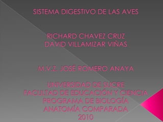 SISTEMA DIGESTIVO DE LAS AVESRICHARD CHAVEZ CRUZDAVID VILLAMIZAR VIÑASM.V.Z. JOSÉ ROMERO ANAYAUNIVERSIDAD DE SUCREFACULTAD DE EDUCACIÓN Y CIENCIA PROGRAMA DE BIOLOGÍAANATOMÍA COMPARADA2010  