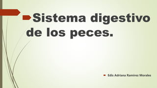 Sistema digestivo
de los peces.
 Edis Adriana Ramírez Morales
 