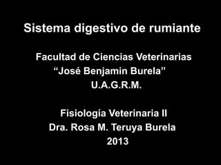 Sistema digestivo de rumiante

 Facultad de Ciencias Veterinarias
    “José Benjamin Burela”
            U.A.G.R.M.

      Fisiología Veterinaria II
    Dra. Rosa M. Teruya Burela
                2013
 