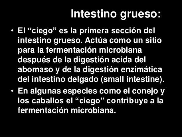 Como curar el hongo en las nalgas por los medios públicos