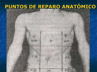 PUNTOS DE REPARO ANATÓMICOPUNTOS DE REPARO ANATÓMICO
 
