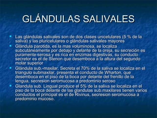 GLÁNDULAS SALIVALESGLÁNDULAS SALIVALES
 Las glándulas salivales son de dos clases unicelulares (5 % de laLas glándulas salivales son de dos clases unicelulares (5 % de la
saliva) y las pluricelulares o glándulas salivales mayoressaliva) y las pluricelulares o glándulas salivales mayores
 Glándula parotida, es la mas voluminosa, se localizaGlándula parotida, es la mas voluminosa, se localiza
subcutáneamente por debajo y delante de la oreja, su secreción essubcutáneamente por debajo y delante de la oreja, su secreción es
puramente serosa y es rica en enzimas digestivas, su conductopuramente serosa y es rica en enzimas digestivas, su conducto
secretor es el de Stenon que desemboca a la altura del segundosecretor es el de Stenon que desemboca a la altura del segundo
molar superiormolar superior
 Glándula sub.-maxilar. Secreta el 70% de la saliva se localiza en elGlándula sub.-maxilar. Secreta el 70% de la saliva se localiza en el
triangulo submaxilar, presenta el conducto de Wharton, quetriangulo submaxilar, presenta el conducto de Wharton, que
desemboca en el piso de la boca por delante del frenillo de ladesemboca en el piso de la boca por delante del frenillo de la
lengua, secresion seromucosa a predominio serosolengua, secresion seromucosa a predominio seroso
 Glandula sub. Lingual produce el 5% de la saliva se localiza en elGlandula sub. Lingual produce el 5% de la saliva se localiza en el
piso de la boca delante de las glandulas sub.maxilares tienen variospiso de la boca delante de las glandulas sub.maxilares tienen varios
conductos el principal es el de Rivinus, secresion seromucosa aconductos el principal es el de Rivinus, secresion seromucosa a
predominio mucoso.predominio mucoso.
 