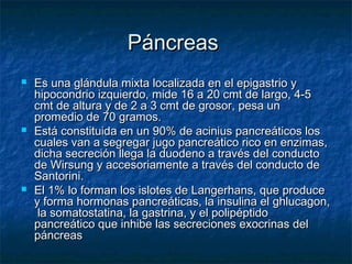 PáncreasPáncreas
 Es una glándula mixta localizada en el epigastrio yEs una glándula mixta localizada en el epigastrio y
hipocondrio izquierdo, mide 16 a 20 cmt de largo, 4-5hipocondrio izquierdo, mide 16 a 20 cmt de largo, 4-5
cmt de altura y de 2 a 3 cmt de grosor, pesa uncmt de altura y de 2 a 3 cmt de grosor, pesa un
promedio de 70 gramos.promedio de 70 gramos.
 Está constituida en un 90% de acinius pancreáticos losEstá constituida en un 90% de acinius pancreáticos los
cuales van a segregar jugo pancreático rico en enzimas,cuales van a segregar jugo pancreático rico en enzimas,
dicha secreción llega la duodeno a través del conductodicha secreción llega la duodeno a través del conducto
de Wirsung y accesoriamente a través del conducto dede Wirsung y accesoriamente a través del conducto de
Santorini.Santorini.
 El 1% lo forman los islotes de Langerhans, que produceEl 1% lo forman los islotes de Langerhans, que produce
y forma hormonas pancreáticas, la insulina el ghlucagon,y forma hormonas pancreáticas, la insulina el ghlucagon,
la somatostatina, la gastrina, y el polipéptidola somatostatina, la gastrina, y el polipéptido
pancreático que inhibe las secreciones exocrinas delpancreático que inhibe las secreciones exocrinas del
páncreaspáncreas
 