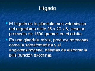 HígadoHígado
 El hígado es la glándula mas voluminosaEl hígado es la glándula mas voluminosa
del organismo mide 28 x 20 x 8, pesa undel organismo mide 28 x 20 x 8, pesa un
promedio de 1500 gramos en el adulto.promedio de 1500 gramos en el adulto.
 Es una glándula mixta, produce hormonasEs una glándula mixta, produce hormonas
como la somatomedina y elcomo la somatomedina y el
angiotensinogeno, además de elaborar laangiotensinogeno, además de elaborar la
bilis (función exocrina).bilis (función exocrina).
 