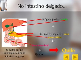 No intestino delgado… O quimo sai do estômago e entra no intestino delgado O fígado produz   a bílis O pâncreas segrega   o   suco pancreático + + Suco intestinal + Quimo Quilo 