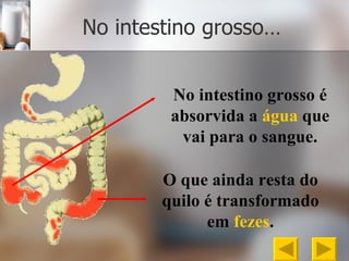 No intestino grosso… No intestino grosso é absorvida a   água  que vai para o sangue. O que ainda resta do quilo é transformado em  fezes . 