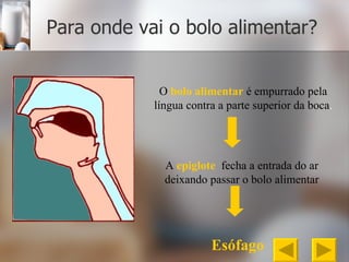Para onde vai o bolo alimentar? O   bolo alimentar   é empurrado pela língua contra a parte superior da boca . A  epiglote   fecha a entrada do ar deixando passar o bolo alimentar Esófago 