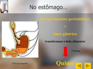 No estômago… Os movimentos peristálticos + Suco gástrico Quimo transformam o bolo alimentar ( Clica na imagem) 3 horas 