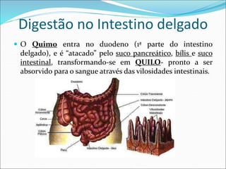 Digestão no Intestino delgado
 O Quimo entra no duodeno (1ª parte do intestino
delgado), e é “atacado” pelo suco pancreático, bílis e suco
intestinal, transformando-se em QUILO- pronto a ser
absorvido para o sangue através das vilosidades intestinais.
 