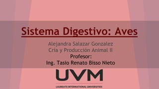 Sistema Digestivo: Aves
Alejandra Salazar Gonzalez
Cría y Producción Animal II
Profesor:
Ing. Tasio Renato Bisso Nieto
 