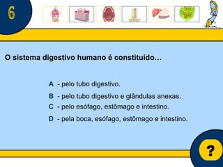 Núcleo de estágio de Biologia/Geologia ? 6 O sistema digestivo humano é constituído… A   - pelo tubo digestivo. B   - pelo tubo digestivo e glândulas anexas. C   - pelo esófago, estômago e intestino. D   - pela boca, esófago, estômago e intestino. 