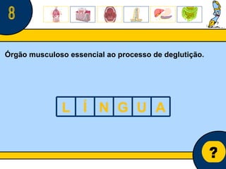 Núcleo de estágio de Biologia/Geologia ? 8 Órgão musculoso essencial ao processo de deglutição. L Í N G U A 