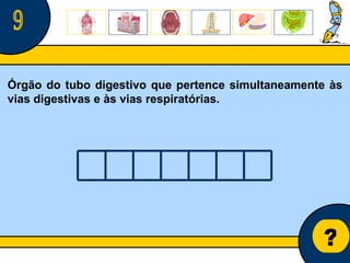 Núcleo de estágio de Biologia/Geologia ? 9 Órgão do tubo digestivo que pertence simultaneamente às vias digestivas e às vias respiratórias. 