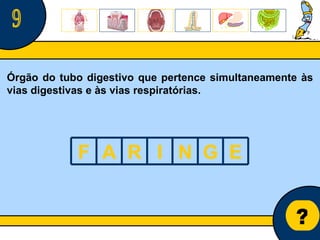 Núcleo de estágio de Biologia/Geologia ? 9 Órgão do tubo digestivo que pertence simultaneamente às vias digestivas e às vias respiratórias. F A R I N G E 