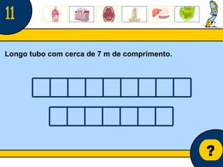 Núcleo de estágio de Biologia/Geologia ? Longo tubo com cerca de 7 m de comprimento. 11 