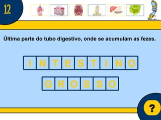 Núcleo de estágio de Biologia/Geologia ? Última parte do tubo digestivo, onde se acumulam as fezes. 12 I N T E S T I N O G R O S S O 
