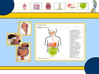 Núcleo de estágio de Biologia/Geologia 