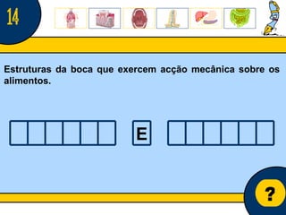Núcleo de estágio de Biologia/Geologia ? Estruturas da boca que exercem acção mecânica sobre os alimentos. 14 E 