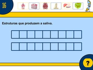 Núcleo de estágio de Biologia/Geologia ? Estruturas que produzem a saliva. 16 