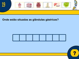 Núcleo de estágio de Biologia/Geologia ? Onde estão situadas as glândulas gástricas? 19 