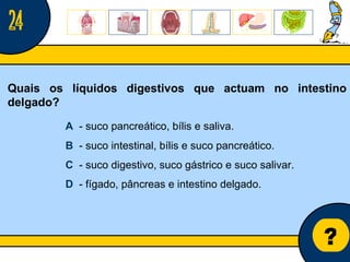 Núcleo de estágio de Biologia/Geologia ? Quais os líquidos digestivos que actuam no intestino delgado? A   - suco pancreático, bílis e saliva. B   - suco intestinal, bílis e suco pancreático. C   - suco digestivo, suco gástrico e suco salivar. D   - fígado, pâncreas e intestino delgado. 24 
