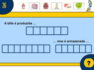 Núcleo de estágio de Biologia/Geologia ? A bílis é produzida … …  mas é armazenada … 26 