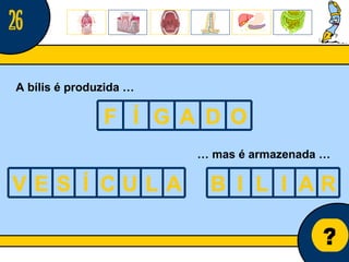 Núcleo de estágio de Biologia/Geologia ? A bílis é produzida … …  mas é armazenada … 26 F Í G A D O V E S Í C U L A B I L I A R 