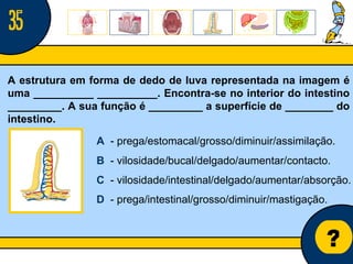 Núcleo de estágio de Biologia/Geologia ? A estrutura em forma de dedo de luva representada na imagem é uma __________ __________. Encontra-se no interior do intestino _________. A sua função é _________ a superfície de ________ do intestino. A   - prega/estomacal/grosso/diminuir/assimilação. B   - vilosidade/bucal/delgado/aumentar/contacto. C   - vilosidade/intestinal/delgado/aumentar/absorção. D   - prega/intestinal/grosso/diminuir/mastigação. 35 