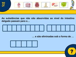 Núcleo de estágio de Biologia/Geologia ? As substâncias que não são absorvidas ao nível do intestino delgado passam para o… …  e são eliminadas sob a forma de … 37 