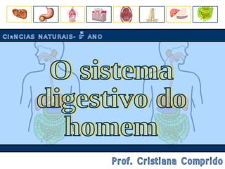 O sistema digestivo do homem O sistema digestivo do homem CIÊNCIAS NATURAIS- 9º ANO Prof. Cristiana Comprido 