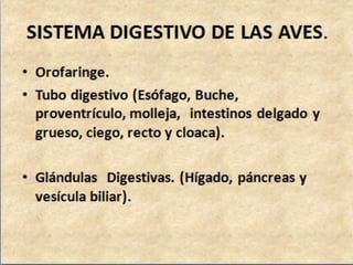 SISTEMA DIGESTIVO DE LAS AVES.
• INSERTE TEXTO AQUÍ.
 