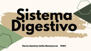 Sistema
Digestivo
Flores Ramírez Sofía Montserrat 1PM1
 