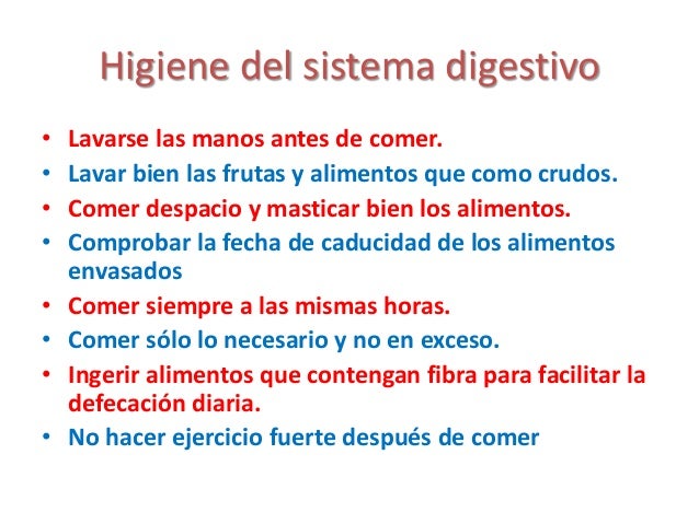 Higiene Del Sistema Digestivo | Anatomía, fisiología e higiene del